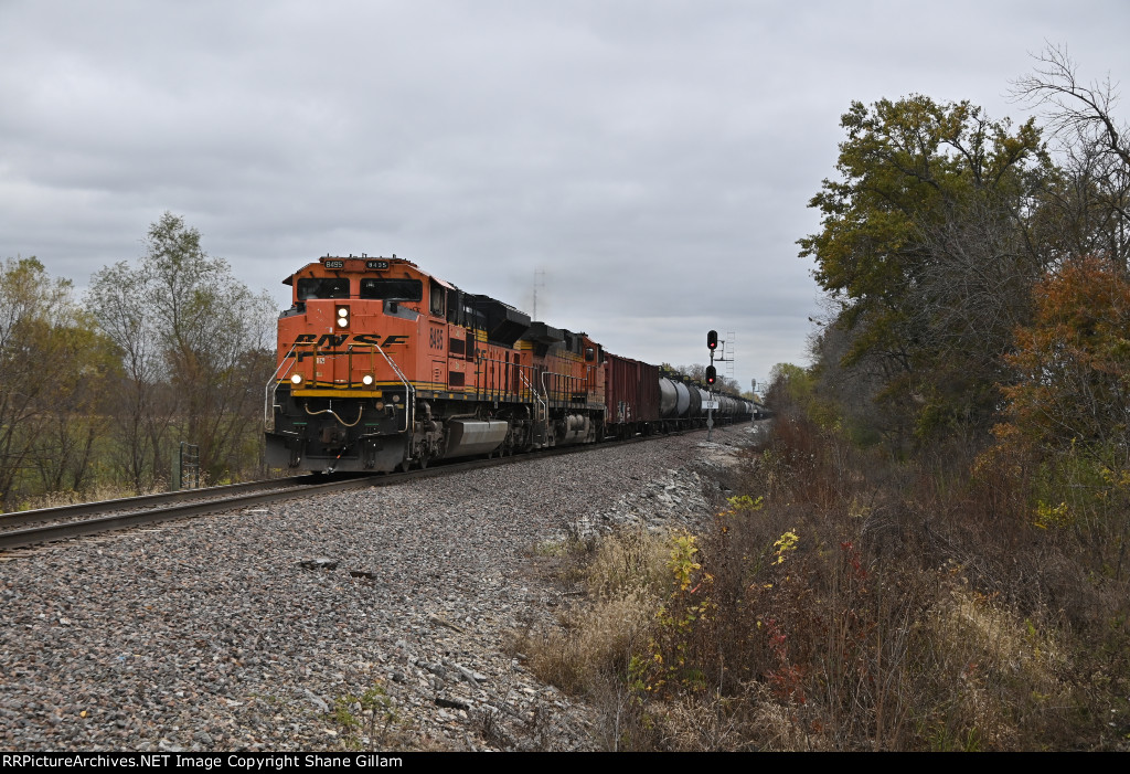 BNSF 8495